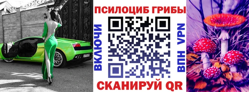 Галлюциногенные грибы Psilocybine cubensis  где купить наркоту  мега сайт  Александровское 